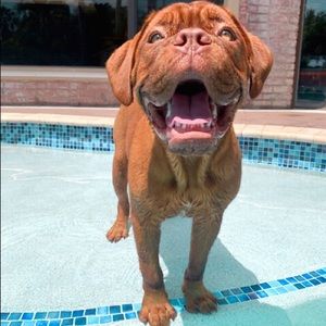 Meet your Posher, Alicia